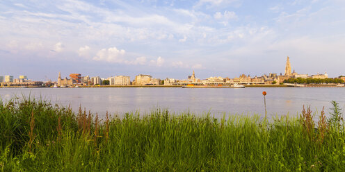 Belgien, Flandern, Antwerpen, Stadtansicht und Schelde, Panorama - WDF003292