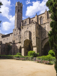 Spain, Barcelona, Cathedral of the Holy Cross and Saint Eulalia - AMF004231