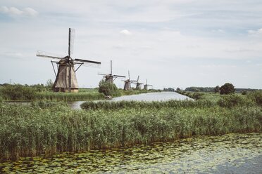 Niederlande, Kinderdijk, Reihe von Windmühlen - ELF001564