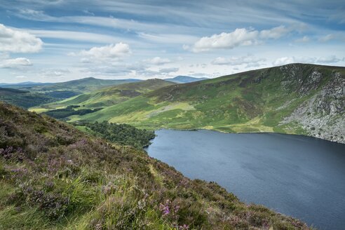 Ireland, County Wicklow, view to Lough Tay at Wicklow Nationalpark - ELF001567