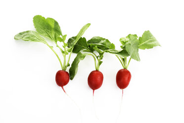 Three red radishes in front of white background - CSF026388