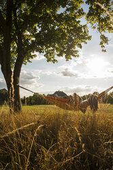 Woman lying in a hammock relaxing in nature - UUF005633