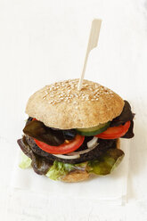 Homemade veggie burger, mushroom lentil fritter - EVGF002387