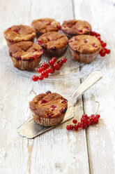 Rote Johannisbeeren Muffins - EVGF002455