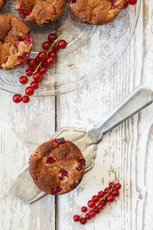 Rote Johannisbeeren Muffins - EVGF002454