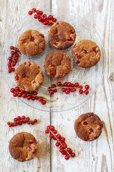 Rote Johannisbeeren Muffins - EVGF002453