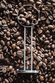 Kaffeebohnen und ein Kaffeelöffel - EVGF002259