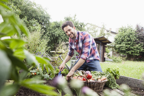 Mann bei der Gartenarbeit im Gemüsebeet, lizenzfreies Stockfoto