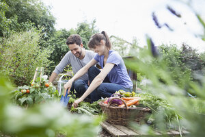 Lächelndes Paar bei der Gartenarbeit im Gemüsebeet - RBF003208