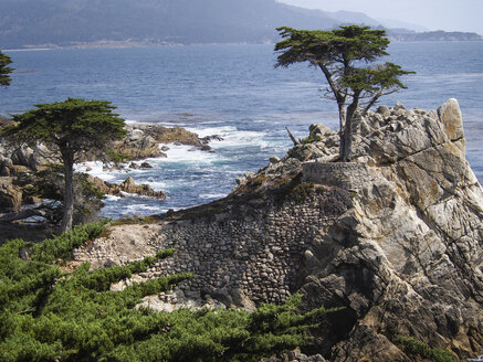 USA, Kalifornien, Monterey, 17-Mile-Drive, 'Einsame Zypresse', Zypressenbaum - SBDF002246