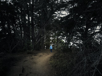 USA, California, Big Sur, little boy in the woods, Julia Pfeiffer Burns State Park - SBDF002272