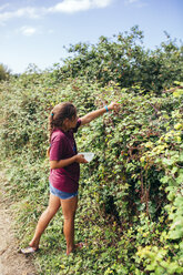 Mädchen pflückt Brombeeren - MGOF000774