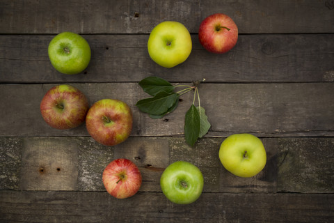 Verschiedene Äpfel, Gala, Boskop, Granny Smith und Golden Delicious, lizenzfreies Stockfoto