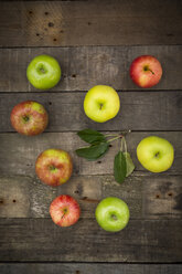 Verschiedene Äpfel, Gala, Boskop, Granny Smith und Golden Delicious - LVF003837