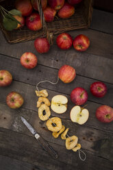 Apples, Gala, and apple rings - LVF003853