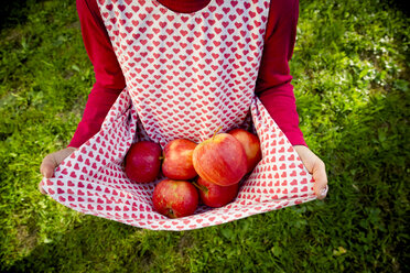 Kleines Mädchen hält Äpfel mit ihrem Kleid - LVF003872