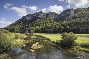 Germany, Baden-Wuerttemberg, Sigmaringen district, Danube near Hausen im Tal - ELF001585