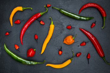 Different chili peppers on slate - LVF003885