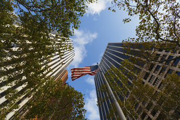 USA, New York City, Wolkenkratzer, Bäume und amerikanische Flagge in Downtown Manhattan - GIOF000119