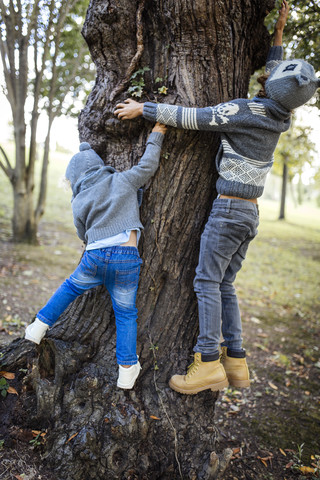 Rückenansicht von zwei kleinen Jungen, die auf einen Baumstamm klettern, lizenzfreies Stockfoto