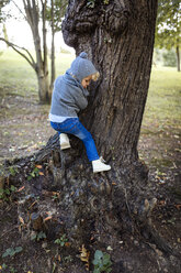 Kleiner Junge klettert auf einen Baumstamm - MGOF000780