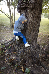 Little boy climbing on a tree trunk - MGOF000780