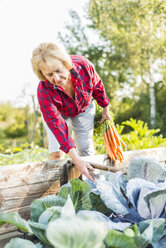 Ältere Frau bei der Gartenarbeit im Gemüsebeet - UUF005727