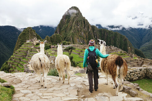 Peru, Machu Picchu region, Female traveler looking at Machu Picchu citadel and Huayna mountain with three llamas - GEMF000413