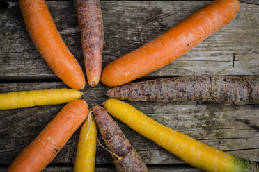 Different carrots on wood - SARF002140