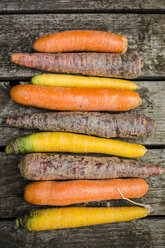 Row of different carrots on wood - SARF002141