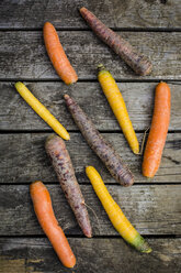 Different carrots on wood - SARF002143