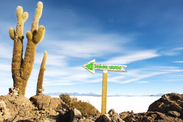 Bolivia, Potosi, Arrow sign at Uyuni Salt Flats - GEMF000429