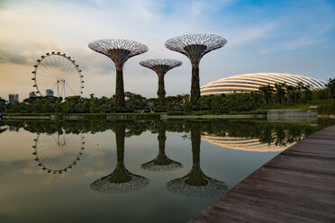 Singapur, Gärten an der Bucht, Supertree Grove - TOVF000033