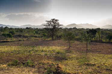 Sri Lanka, Yala-Nationalpark - NNF000237