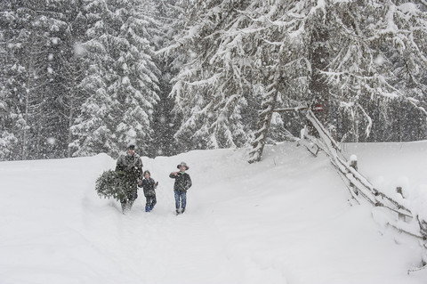 Austria, Altenmarkt-Zauchensee, father with two sons carrying Christmas tree in winter landscape stock photo