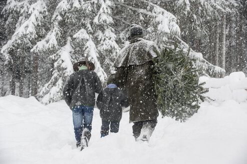 Österreich, Altenmarkt-Zauchensee, Vater mit zwei Söhnen trägt Christbaum in Winterlandschaft - HHF005370