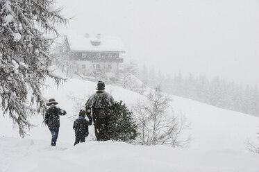Österreich, Altenmarkt-Zauchensee, Vater mit zwei Söhnen trägt Christbaum in Winterlandschaft - HHF005371