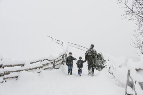 Austria, Altenmarkt-Zauchensee, father with two sons carrying Christmas tree in winter landscape - HHF005372