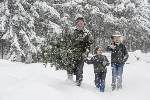 Österreich, Altenmarkt-Zauchensee, Vater mit zwei Söhnen trägt Christbaum in Winterlandschaft - HHF005373