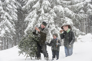 Österreich, Altenmarkt-Zauchensee, Vater mit zwei Söhnen trägt Christbaum in Winterlandschaft - HHF005374