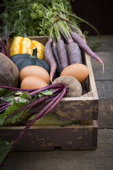 Wooden box of different organic vegetables - LVF003933