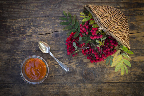 Weidenkorb, Vogelbeeren und Glas Vogelbeermarmelade auf dunklem Holz - LVF003940