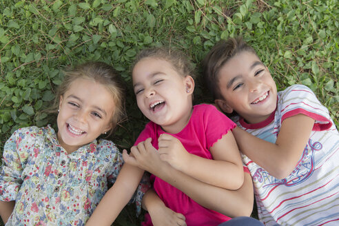 Portrait of three laughing children lying side by side on a meadow - ERLF000050