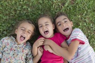 Portrait of three screaming children lying side by side on a meadow - ERLF000053