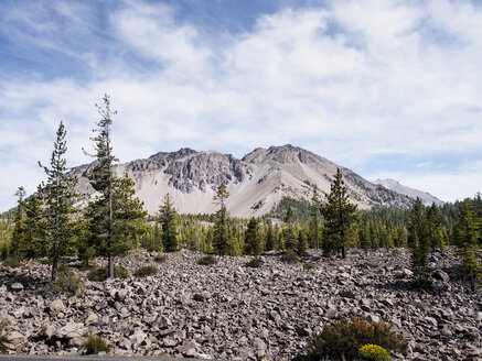 USA, Kalifornien, Lassen Volcanic National Park, Lassen Peak und Kiefern - SBDF002263