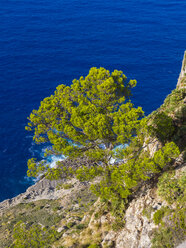 Spain, Mallorca, Cap de Fermentor, View down from Mirador d'es Colomer - AMF004296