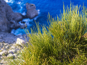 Spanien, Mallorca, Cap de Fermentor, Blick vom Mirador d'es Colomer - AMF004301