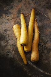 Four yellow carrots - KSWF001591