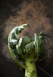 Broccoli - KSWF001599
