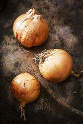 Three organic onions - KSWF001603